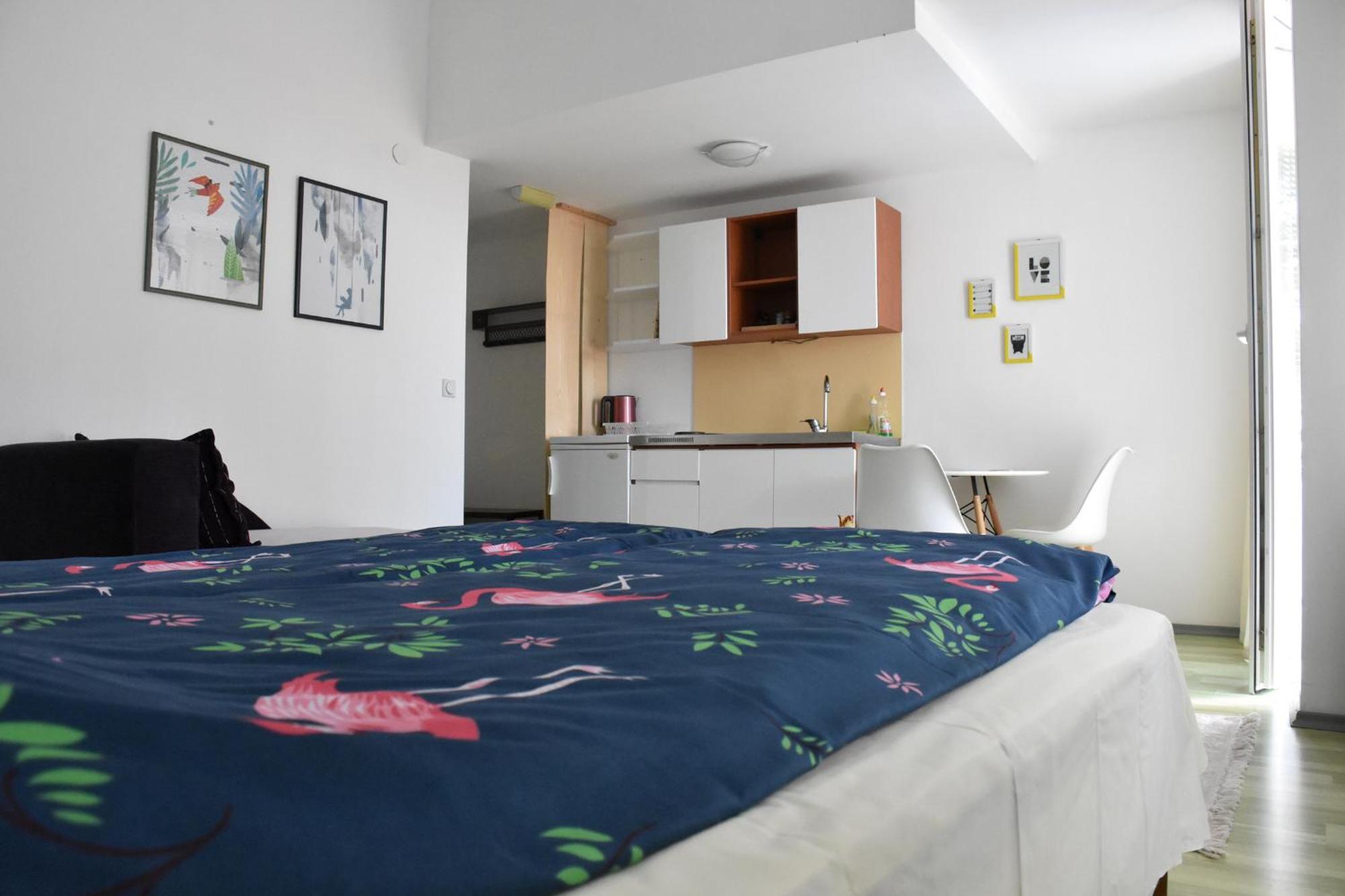 Bache Apartments Οχρίδα Εξωτερικό φωτογραφία